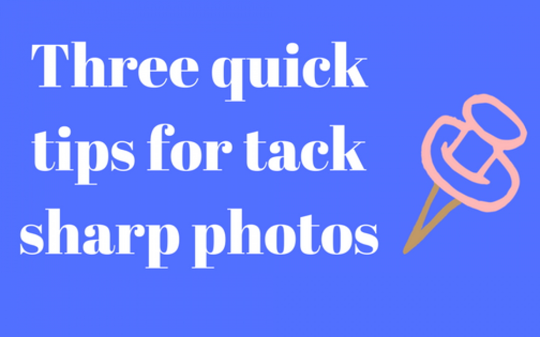 Three Quick Tips for Tack Sharp Photos
